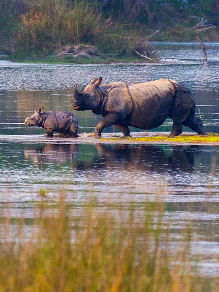 Explore Best Bodoland Tour