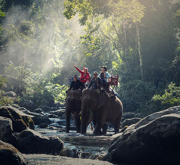 Nature & Wildlife Tour